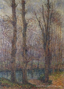 Arbres au bord de la rivière