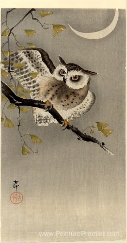 Hibou sur la branche de Ginkgo (Scops Owl sous Crescent Moon)