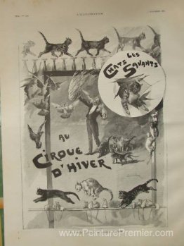 Chats formés en cirque