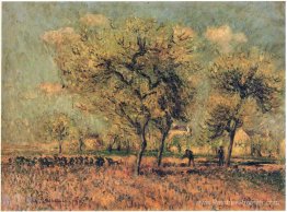 Paysage du printemps