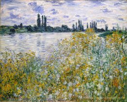 Île de fleurs sur Siene près de Vetheuil