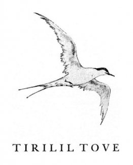 Tirilil Tove Copertina