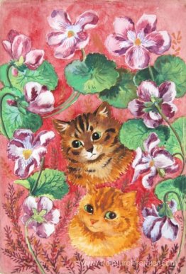 Pansies et Tabby