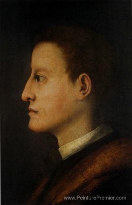 Cosimo i de 'medici