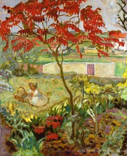 Jardin avec arbre rouge