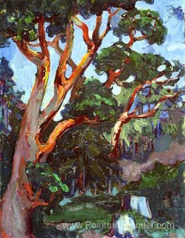 Arbutus arbre