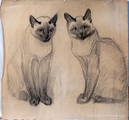 Deux chats siamois