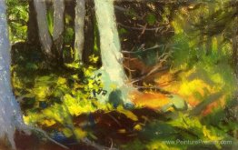 Sous les arbres - Monhegan