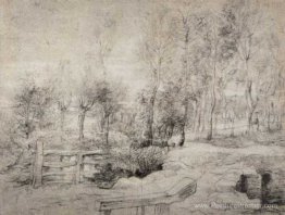 Paysage avec des arbres