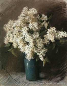 Lilas blanc