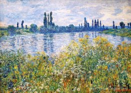 Fleurs sur les rives de Seine près de Vetheuil