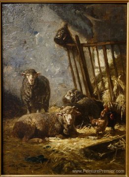 Mouton en crèche