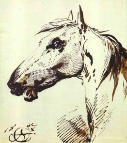 Tête d'un cheval