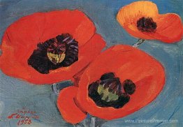 Coquelicots