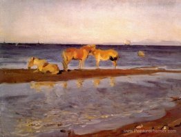 Chevaux sur un rivage