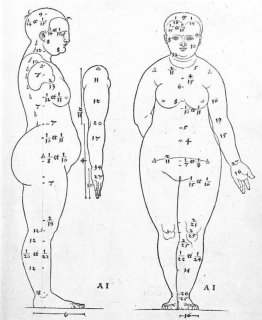 Vue latérale et frontale de la tête féminine