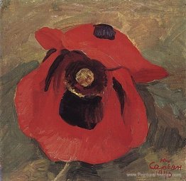 Coquelicot