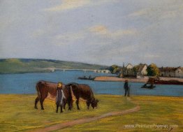 Vaches par la Seine à Saint Mammes