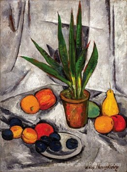 Nature morte avec les plantes et les fruits