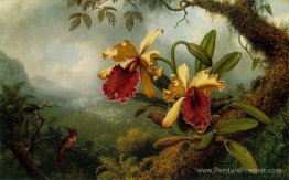 Orchidées et colibris