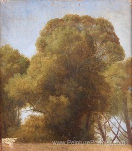 Étude des arbres