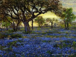 Old Live Oak Tree et Bluebonnets sur le terrain militaire de l'o