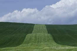 Basilicata