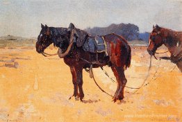 Travail des chevaux