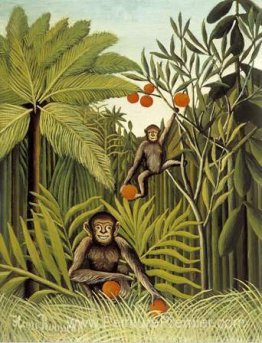 Les singes dans la jungle