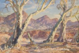 Flinders Ranges paesaggio