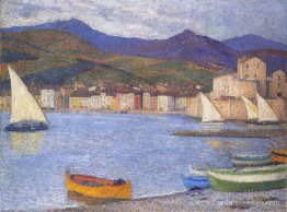 Saillons dans le port de Collioure