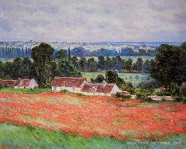 Champ de coquelicot à Giverny