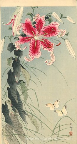 Lily et papillons