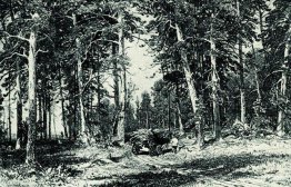 Forêt