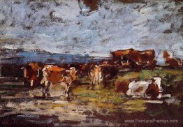 Vaches dans un pâturage