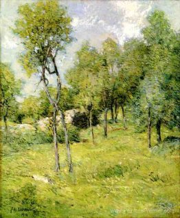 Paysage de l'été