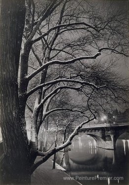 Les Arbes des Quais Avec le Pont-Neuf