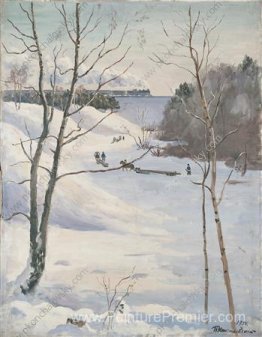 Paysage d'hiver avec train