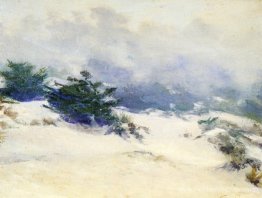 Dunes brumeuses, carmel