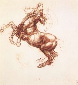 Cheval d'élevage