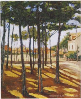 Mimizan Page, Landes