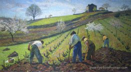 Culture des vignes