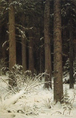 Forêt de sapins en hiver