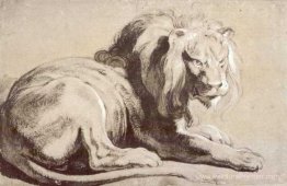 Etude de lion