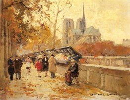 Libraires le long de la Seine, Notre-Dame View