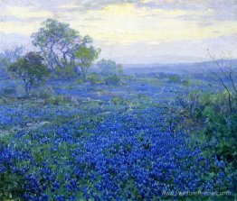 Une journée nuageuse, Bluebonnets près de San Antonio, Texas