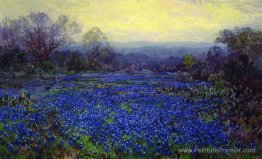 Champ de Bluebonnets