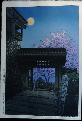 Pleine lune et cerisier fleur au château de Matsuyama