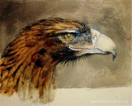 La tête d'Eagle de la vie