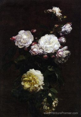 Roses blanches